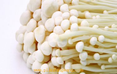 빽ʳƫ