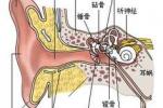 内科治疗便秘的偏方 中耳炎的4种食疗偏方